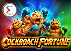 Cockroach Fortune