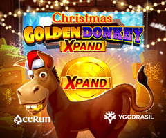 Golden Donkey Christmas Xpand