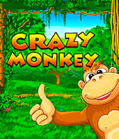 Crazy Monkey