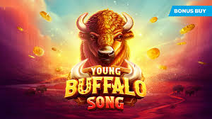Young Buffalo Coins