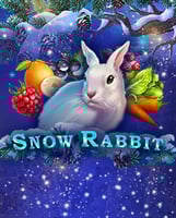 Snow Rabbit