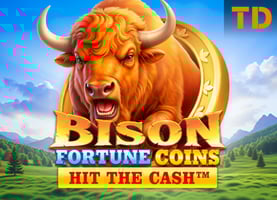 Bison Fortune Coins