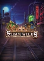 Steam Wilds