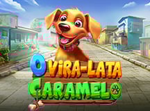 O Vira-lata Caramelo
