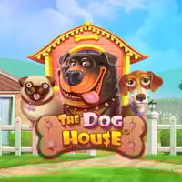 The Dog House