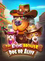 The Dog House – Dog or Alive
