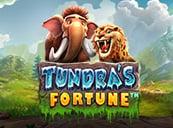 Tundra's Fortune