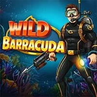 Wild Barracuda