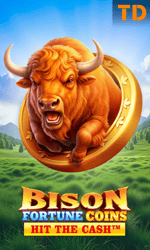 Bison Fortune Coins