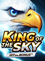 King of the Sky: Hit the Bonus
