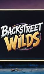 Backstreet Wilds